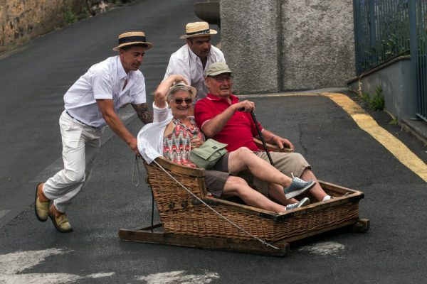 sledges monte