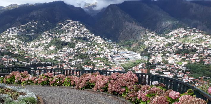Pico dos Barcelos